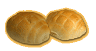 tartaruga